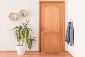 Modern Wooden Doors